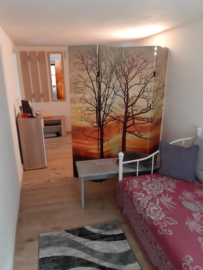 Familienfreundliche Ferienwohnung Zschorlau Екстер'єр фото